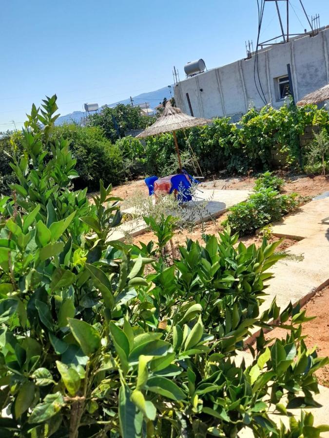 Rey Garden Villa Vlorë Εξωτερικό φωτογραφία